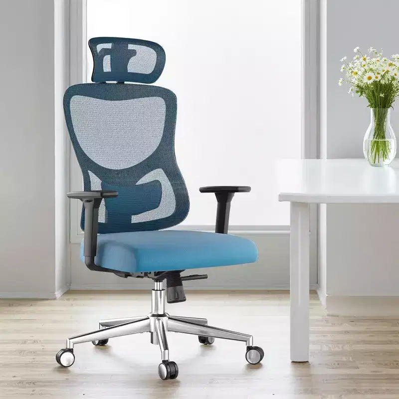 MAYEERTY Ergonomic Mesh Home Office Chair - With Headrest, Adjustable Lumbar Support & 3D Armrests (Blue)